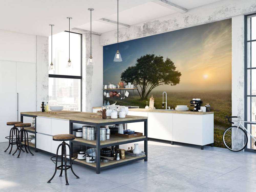 Soluppgång på heden