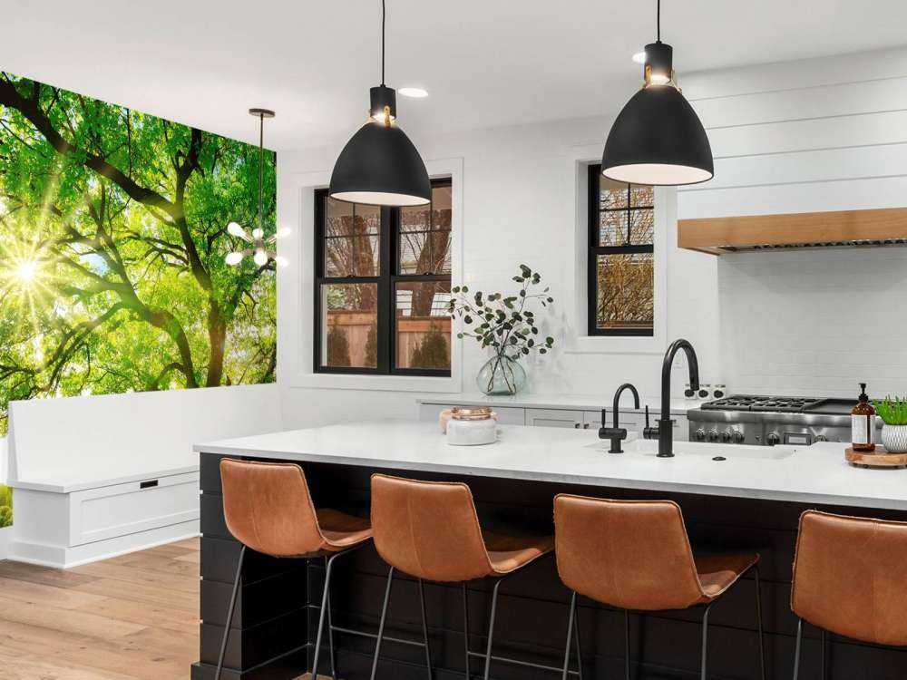 Träd med solstrålar