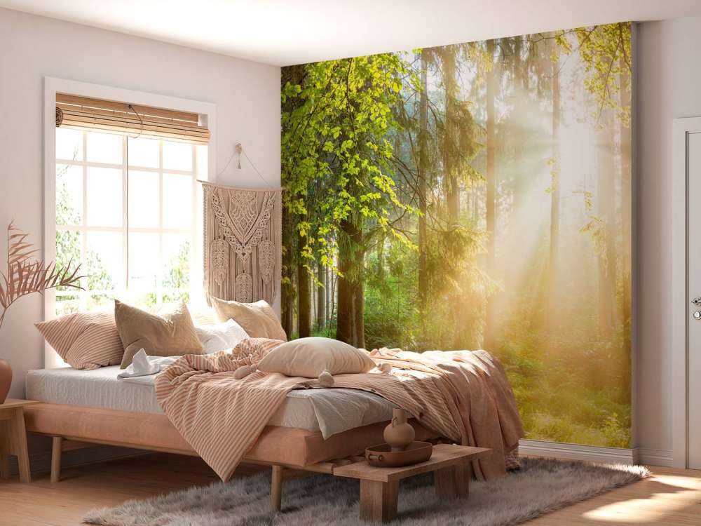 Skoglandskap på soluppgång