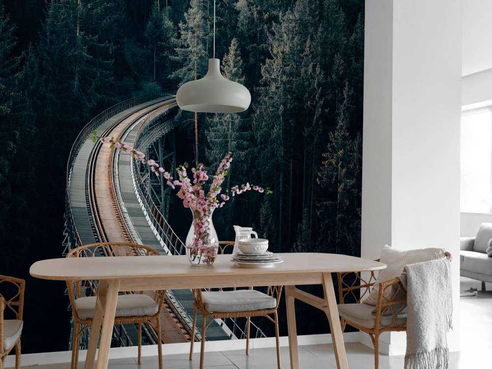 En gammal övergiven järnväg