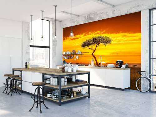 Primordial Africa