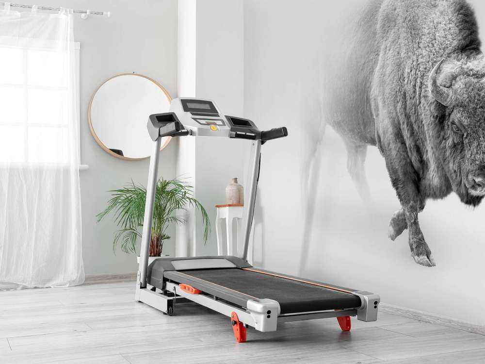 Bison svart, vit