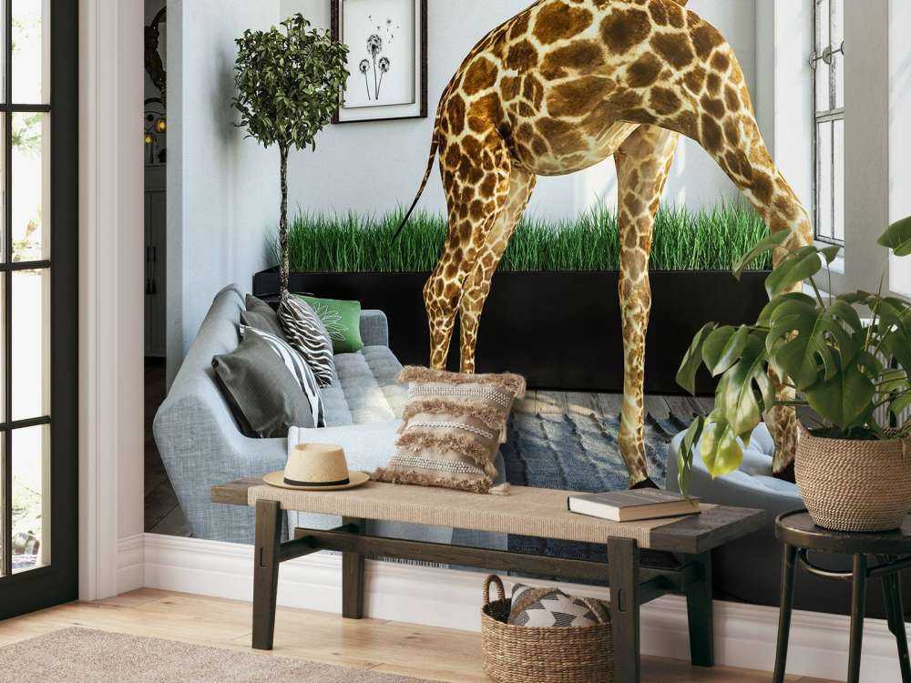 Giraff i huset