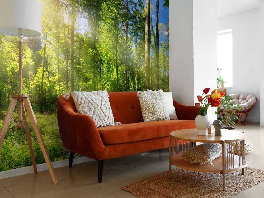 Skog med solstrålar