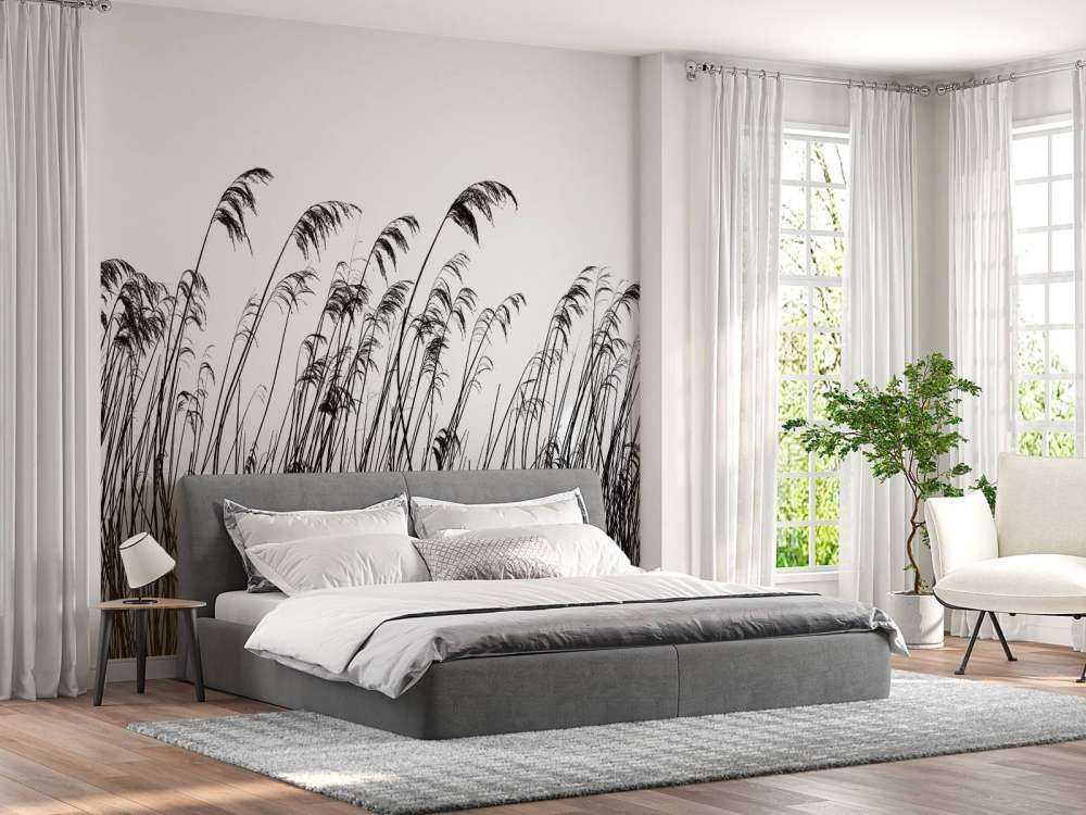 Rörflen längs vattnet i svartvitt