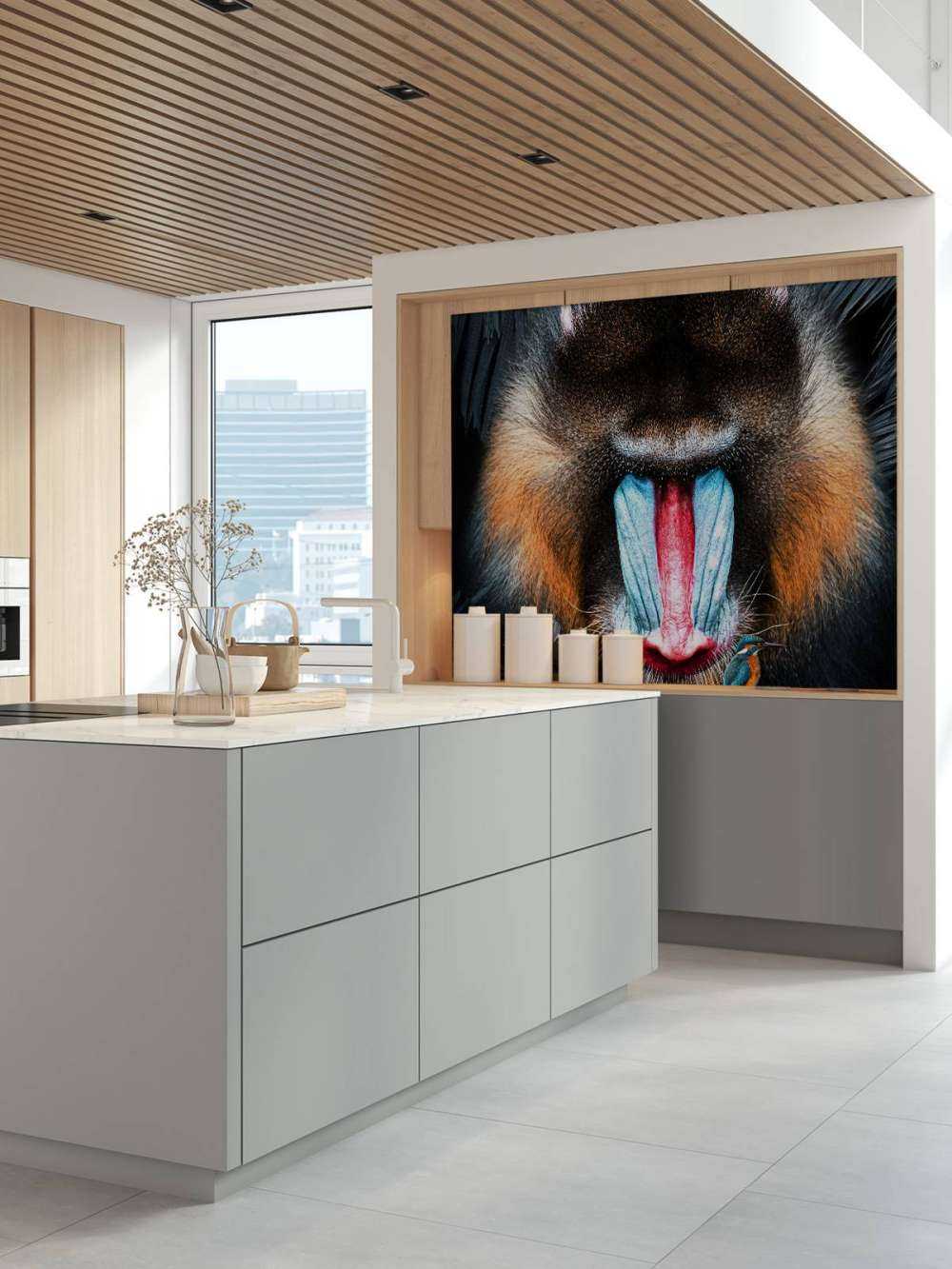 Mandrill Porträtt