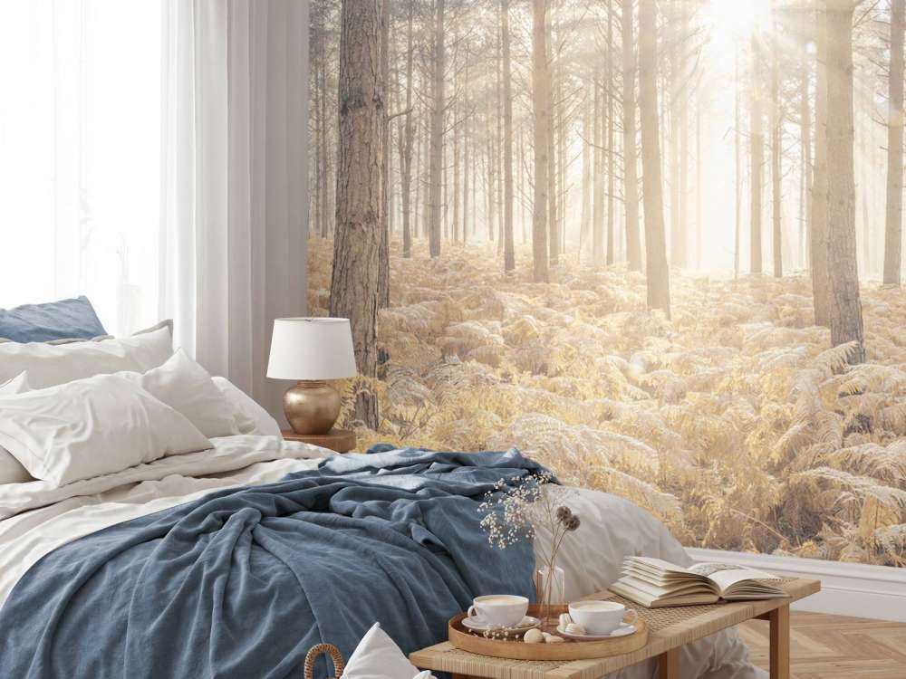 Solstrålar i den kalla skogen