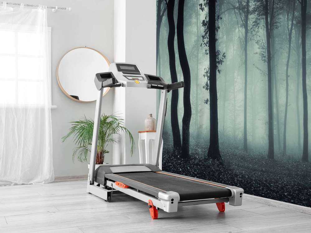 Mystisk mörk skog