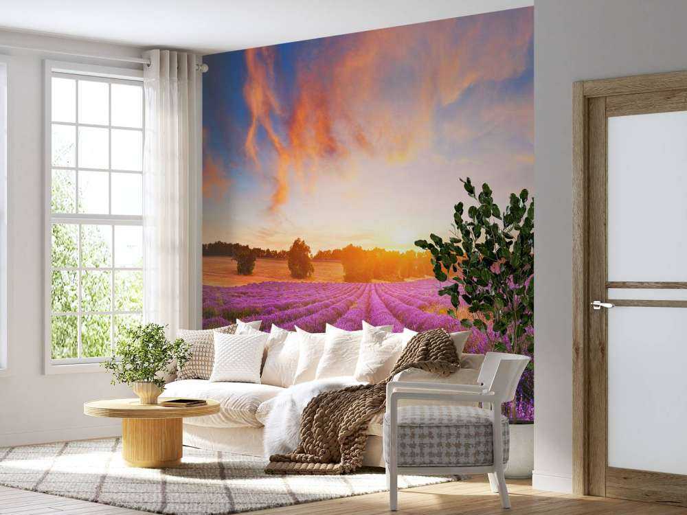 Vackert lavendel fält