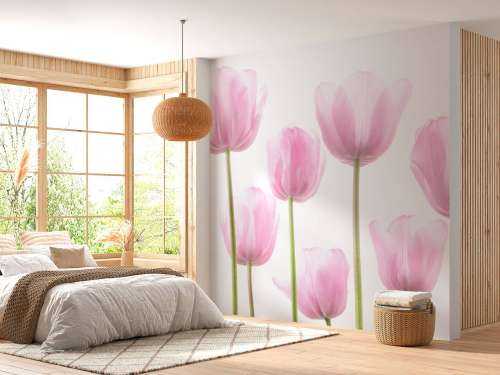 Lyserøde tulipaner