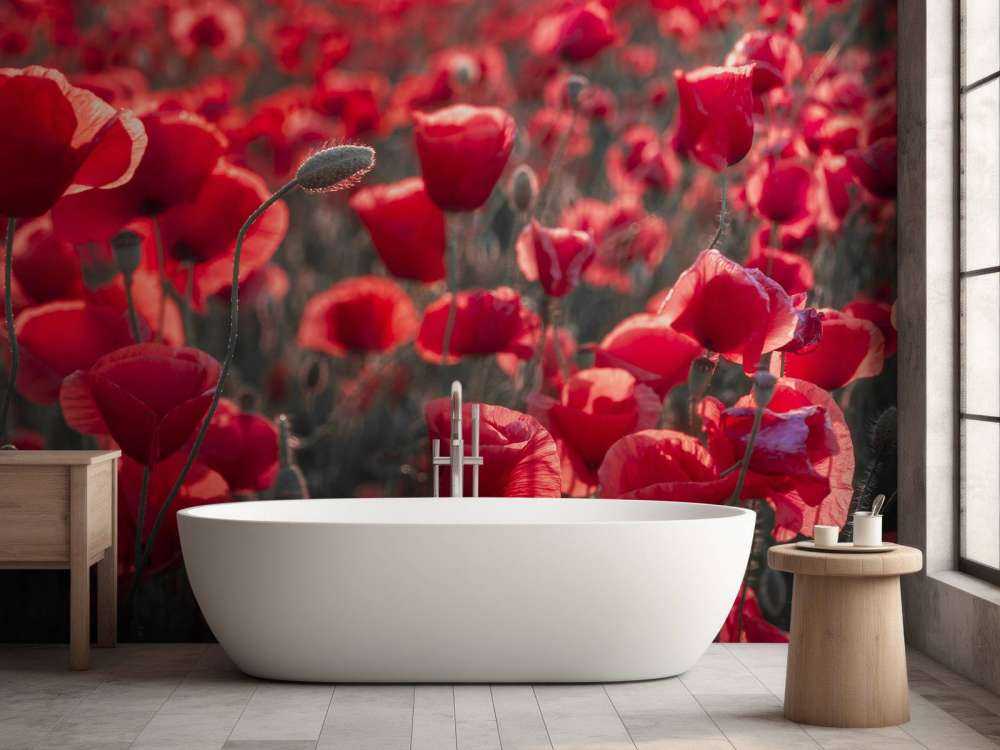 Valmuer i mørk stil