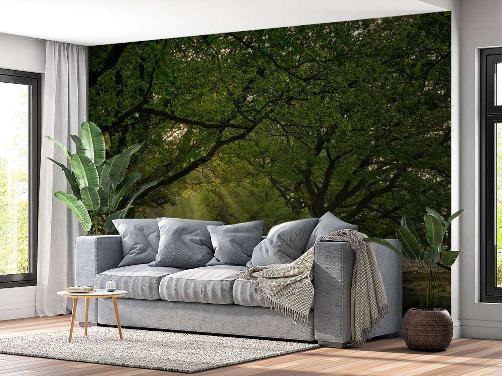 Sti mellem egetræer