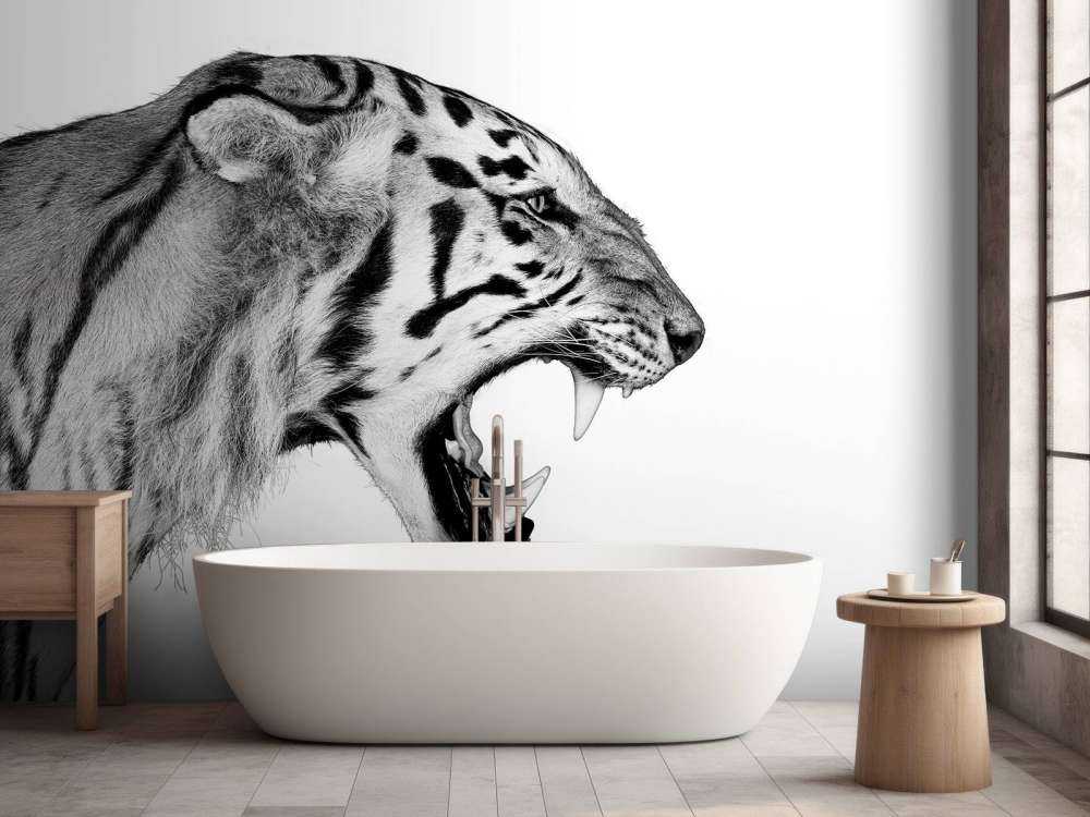 Brølende tiger hvid