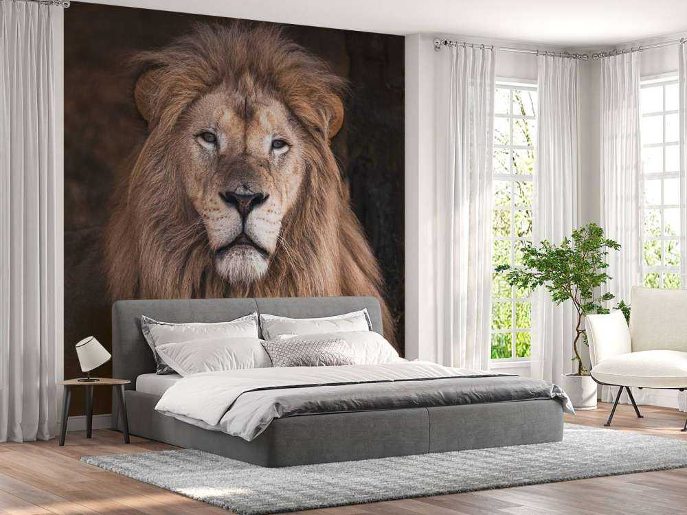 Portræt af en løve