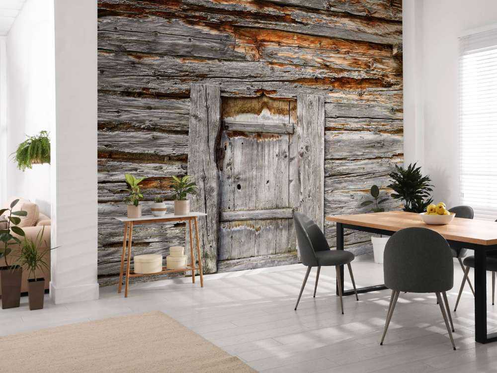 Gammelt træ med dør