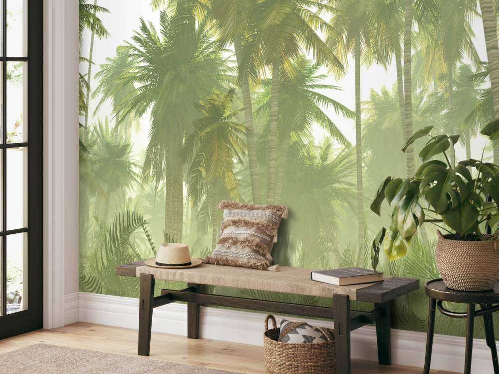 Misty jungle