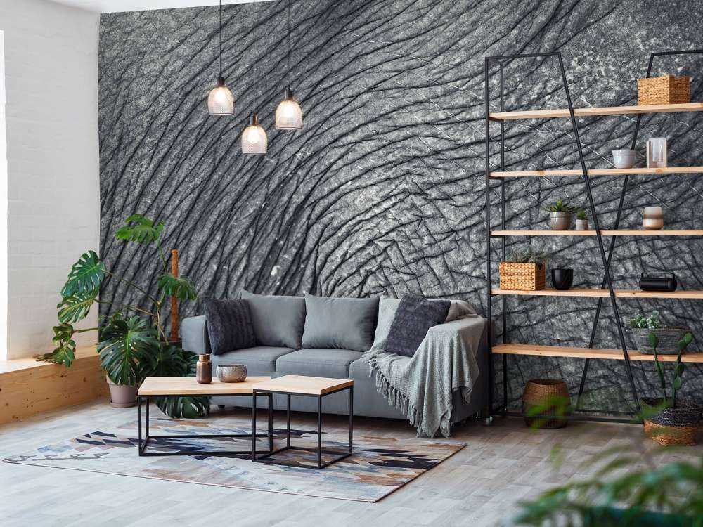 Nærbillede af elefantskind