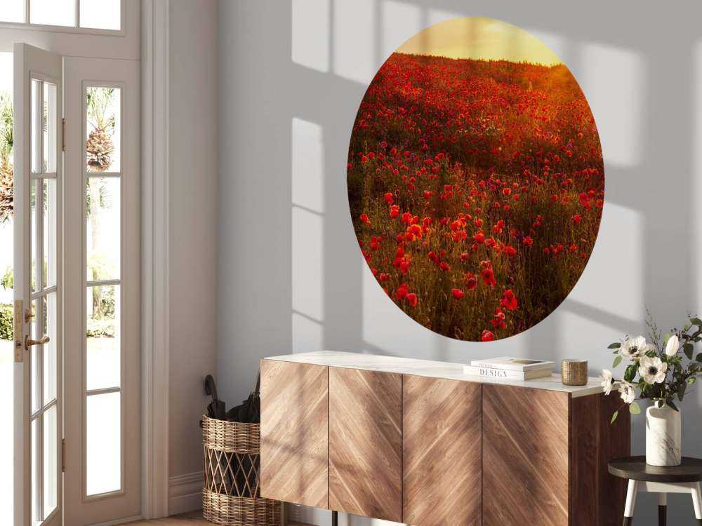 Valmuer på en bakke