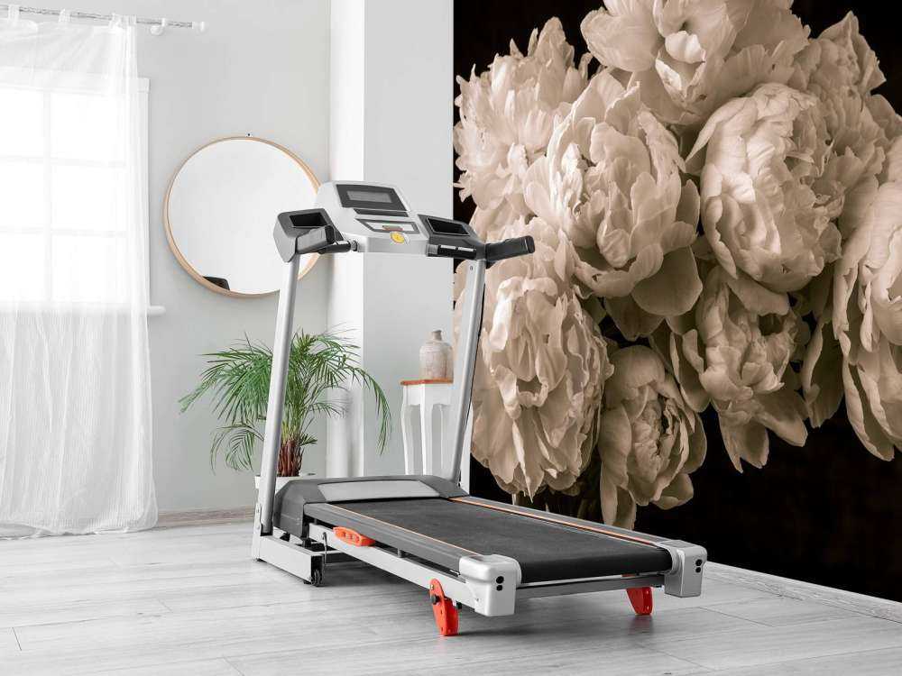 Buket af pæoner vintage