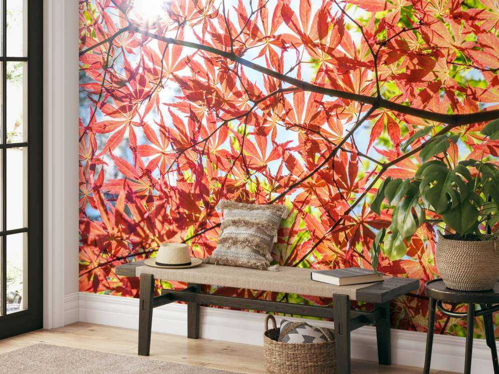 Røde efterårsblade