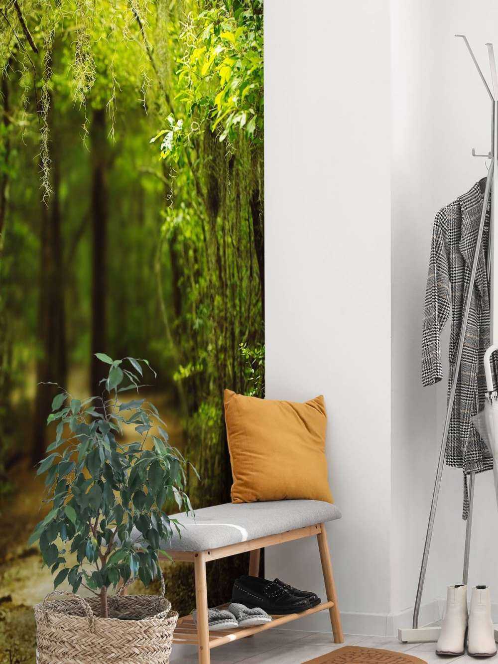 Spansk skov fuld af mos