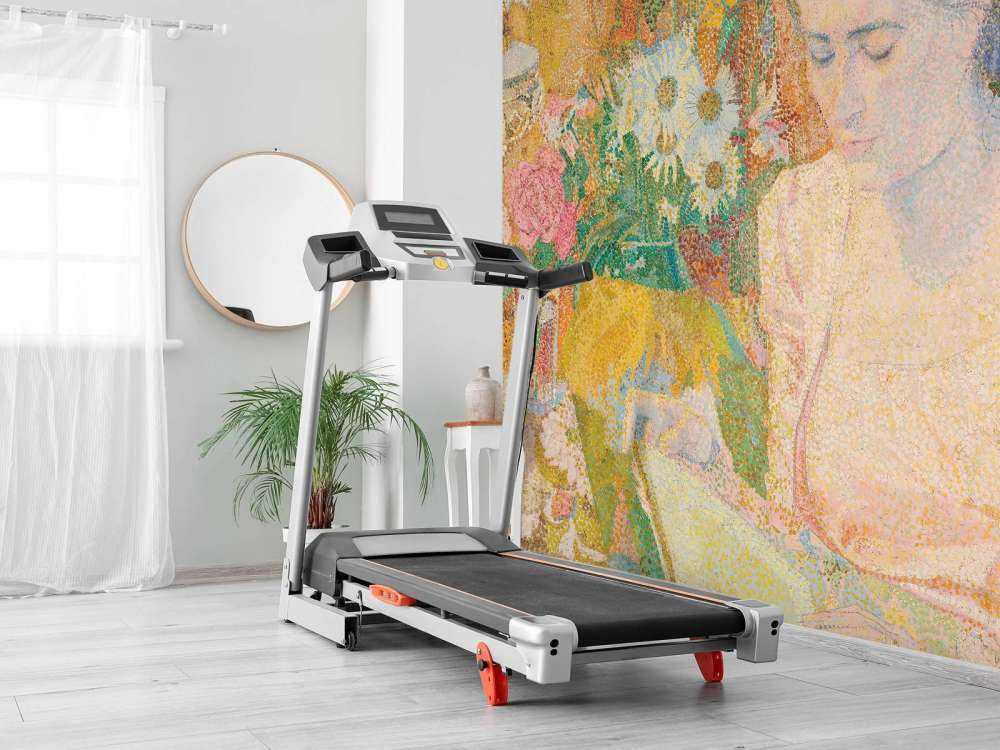 Portræt af fru Marie Jeannette de Lange