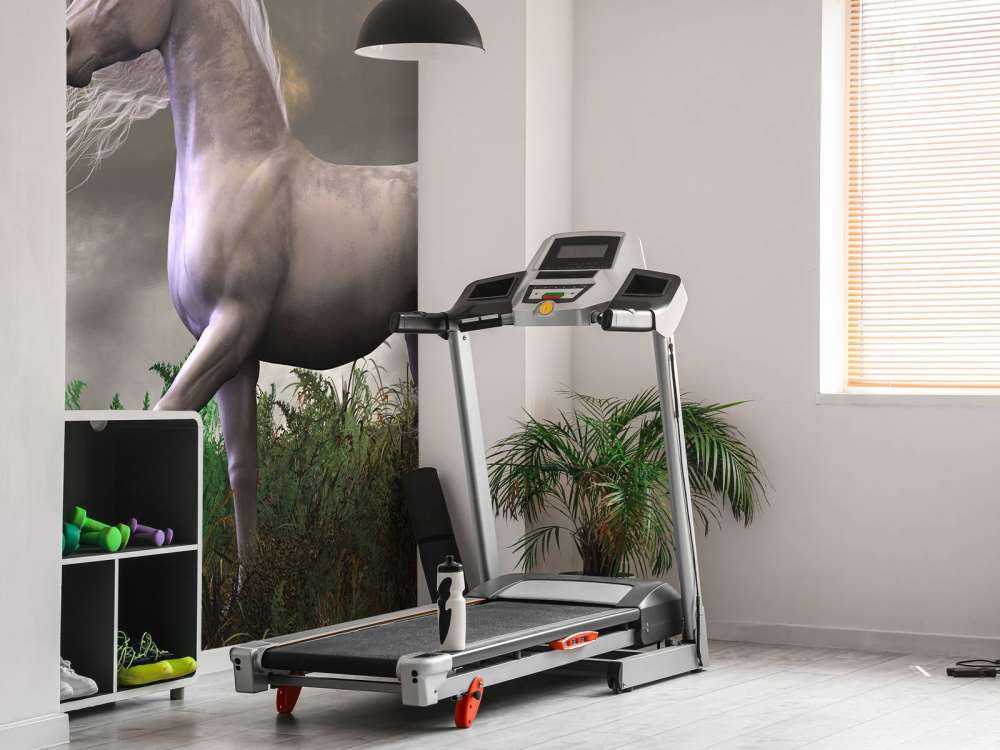 Witte eenhoorn hengst