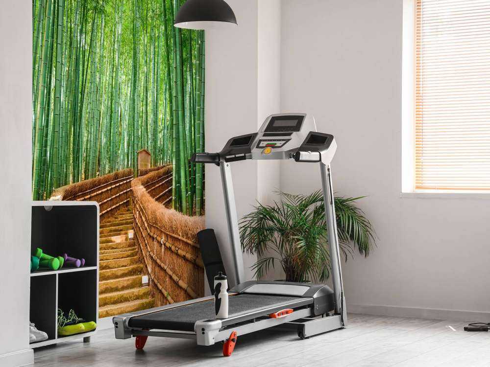 Trappe mellem bambusplanter