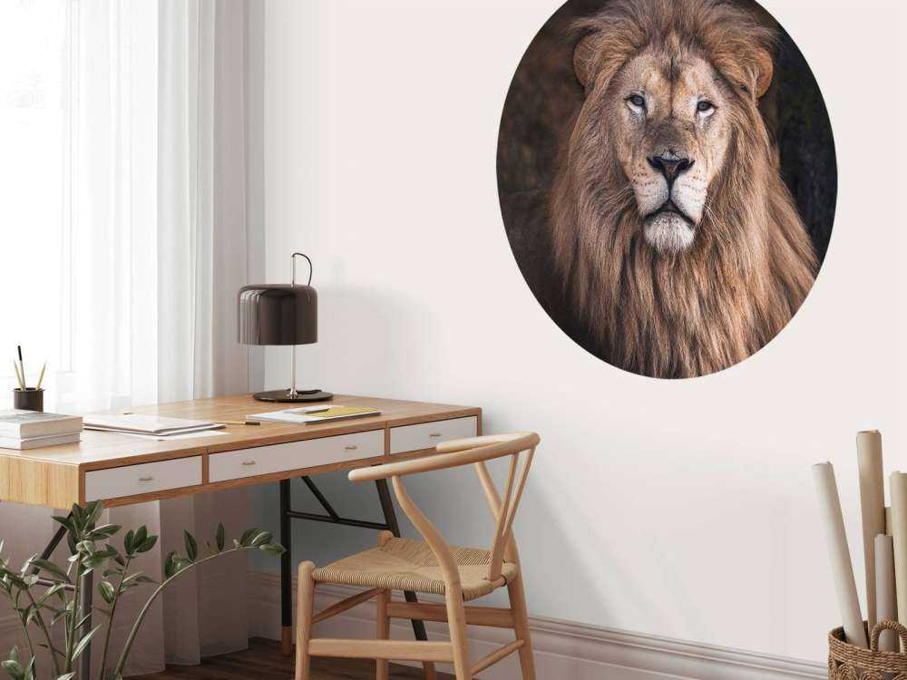 Portræt af en løve