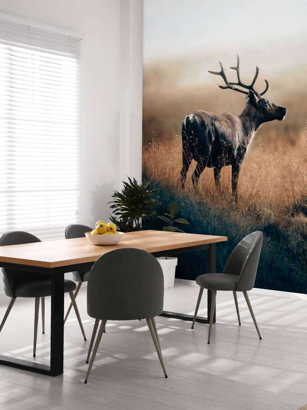 Rensdyr i det høje græs