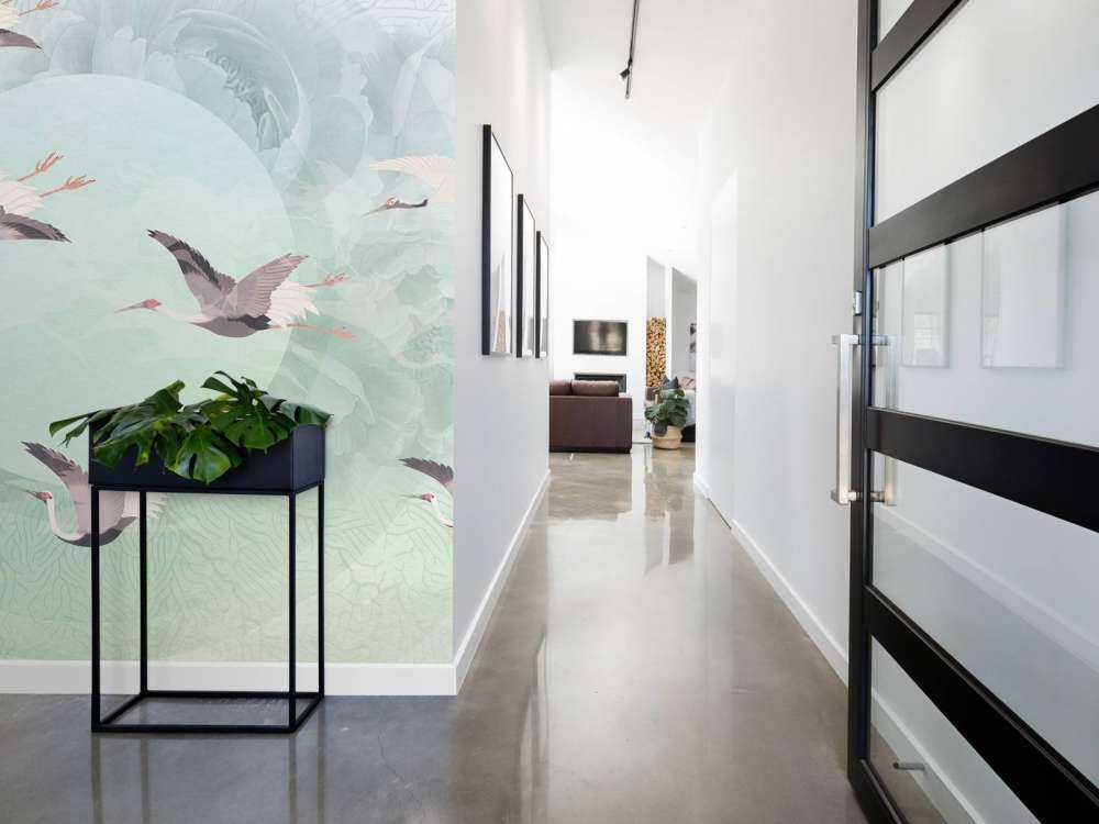 Serenity 5
