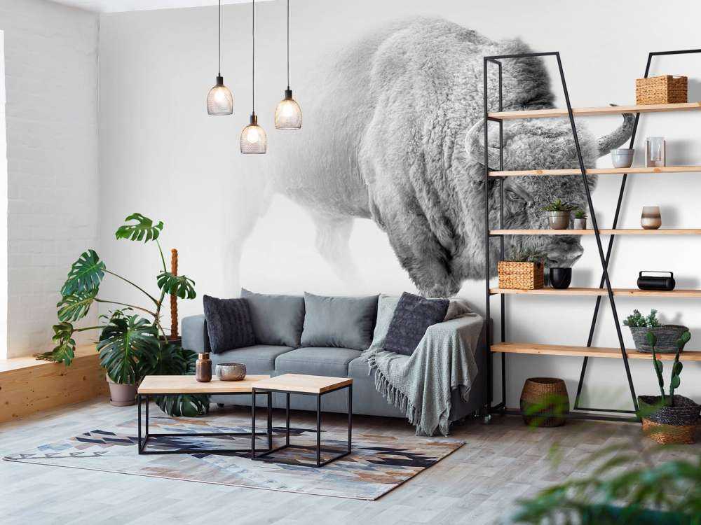 Bison sort, hvid