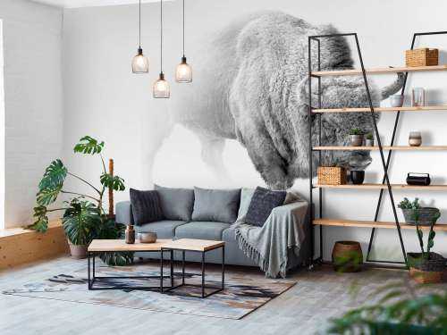 Bison sort, hvid