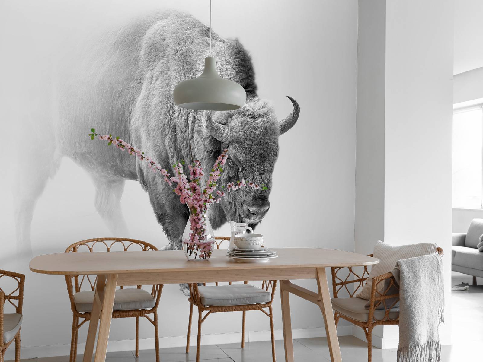 Bison sort, hvid