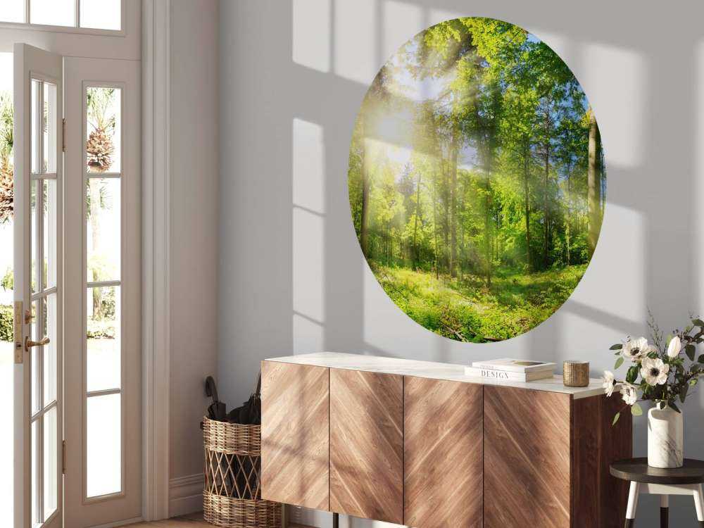 Skov med solstråler