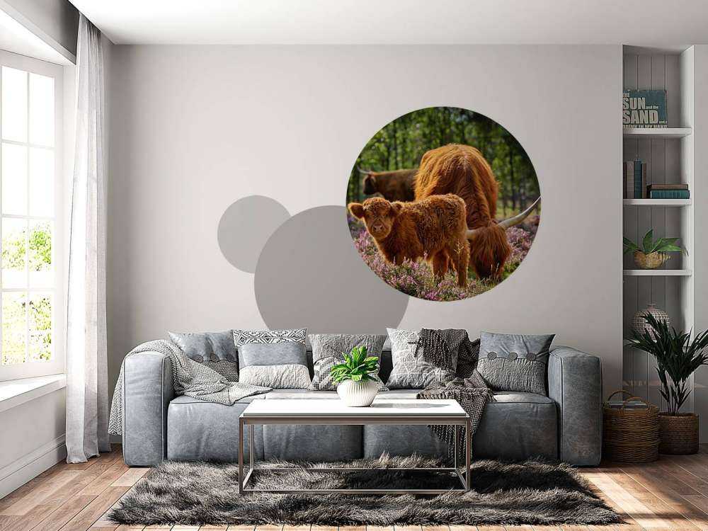 Familie skotske højlandere