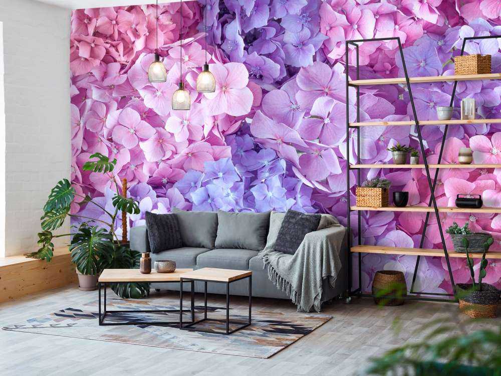 Farverige hortensiaer