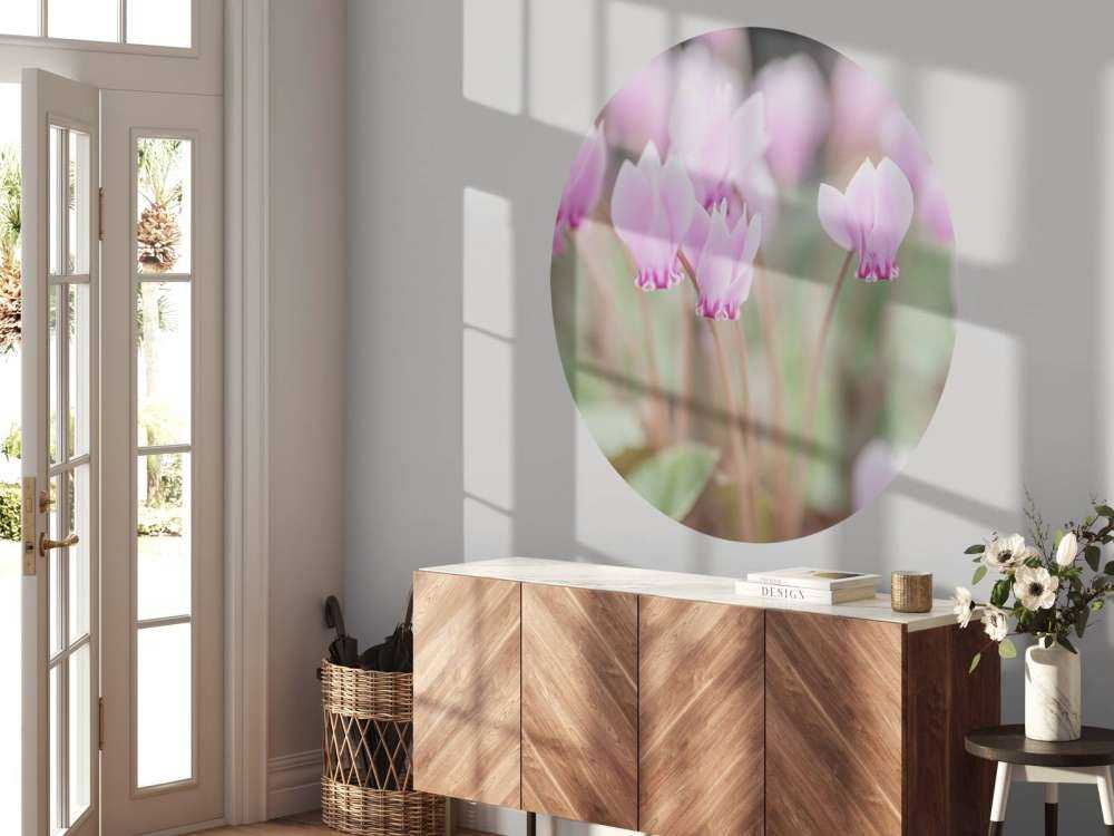 Smukke vedbend blomster