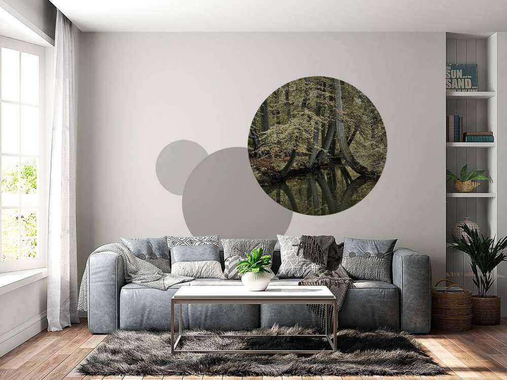 Vandløb med hængende træer