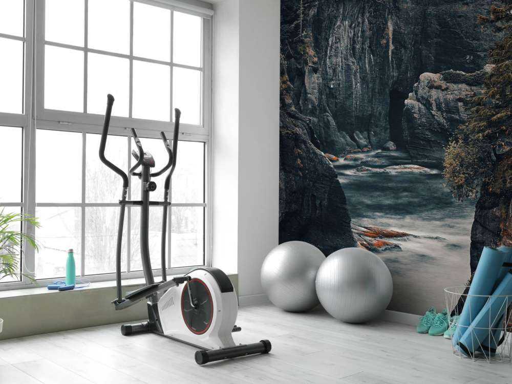 Den barske natur ved kysten