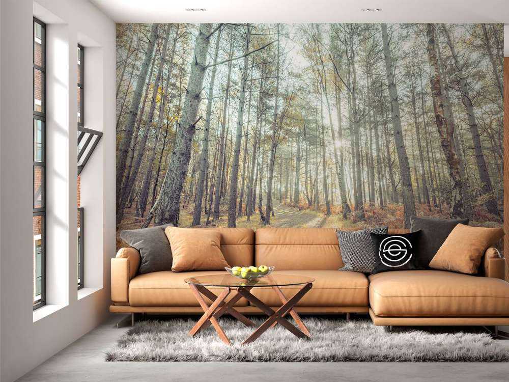 Sti gennem en solbeskinnet skov