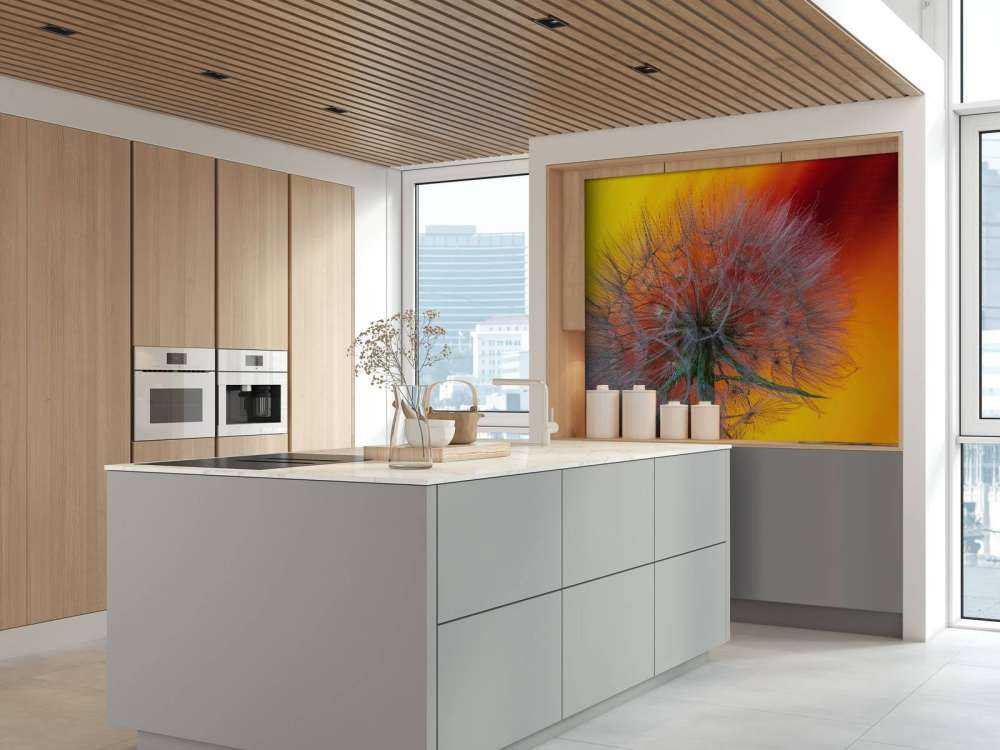 Nærbillede af mælkebøtte