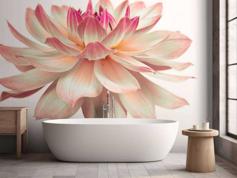 Dahlia blomst
