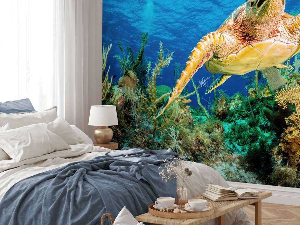 Hawksbill turtle swimming through Caribbean reef