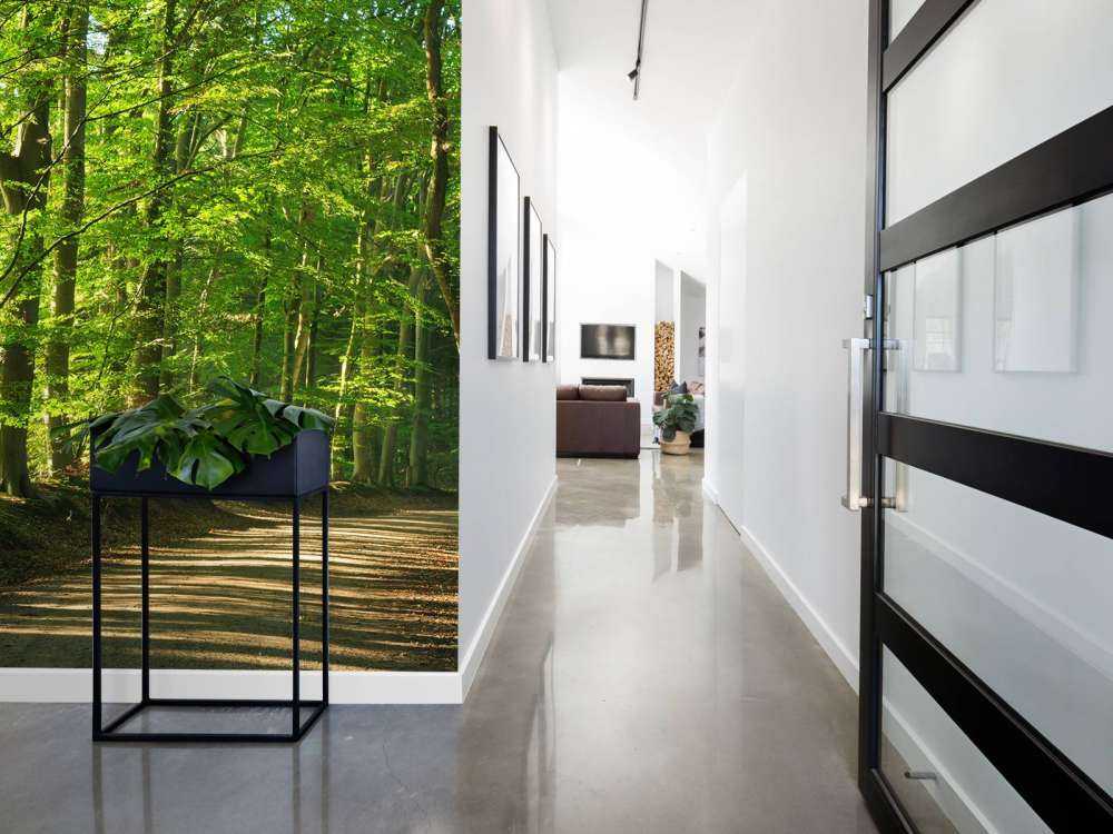 Solrig vej gennem en skov