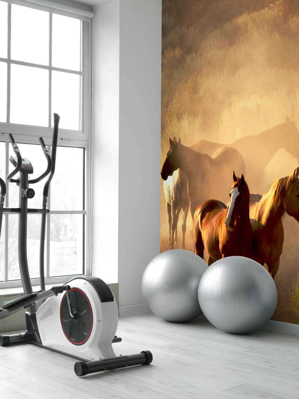 Heste under en solnedgang