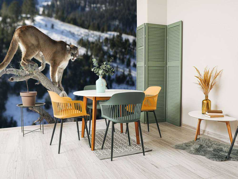 Bjergløve __på et dødt træ