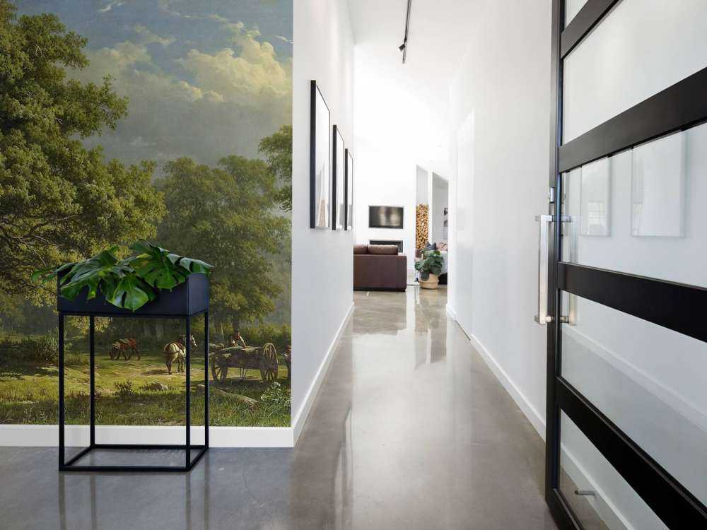 Udsigt over Bentheim skoven