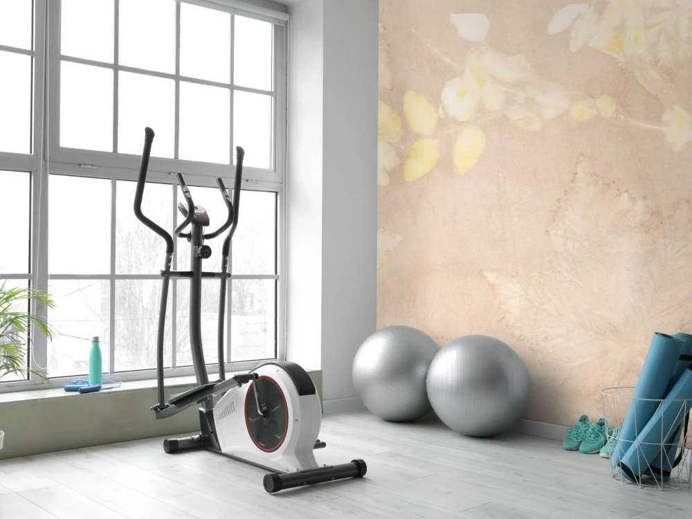 Snøbes og vill bjørnebær - hasselnøtt