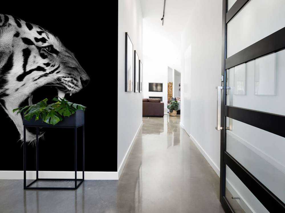 Brølende tiger svart